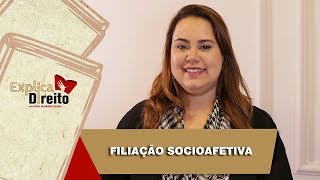 Explica Direito Filiação Socioafetiva  2019 [upl. by Eeral533]