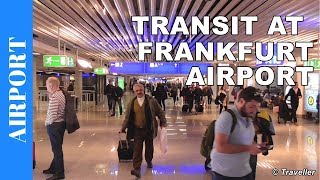 TRANSIT WALK AT FRANKFURT Airport FRA Terminal 1  Connection Flight Transfer Arriving amp Departing [upl. by Elka]